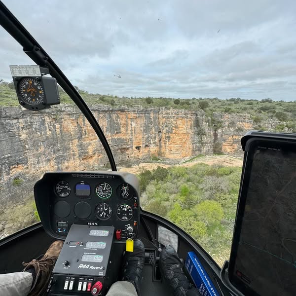 helipighunts's tweet photo. 📷 Texas Heli Hunting: Unleash the Beast! 📷
Bring your A-game and experience the raw power of heli hunting. Lock and load, and let’s hit the skies!
📷 Ready to go? Contact us to book: 325-515-0175 / hunt@dividedfind.com
https://t.co/SGBHoNT9Sz
#HeliHunting #TexasStrong #HuntFromTheSky #PureAdrenaline #WildTexas