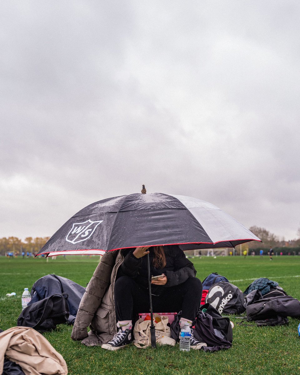 paul gilbey tweet media