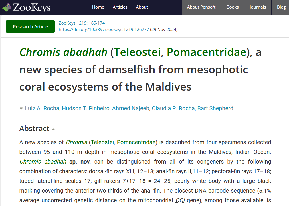 Pensoft's tweet photo. 📄The study is openly accessible in @ZooKeys_Journal at: https://t.co/Vg2K8N2CHA.
The research work of the team of @calacademy, @usponline & @MMRI_Maldives was funded by the @ROLEX #Perpetual Planet initiative, also commemorated in the name of the #damselfish.
@SteinhartBart https://t.co/PMac4fk86N