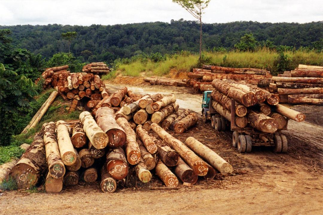 UNODC Environment Team tweet media