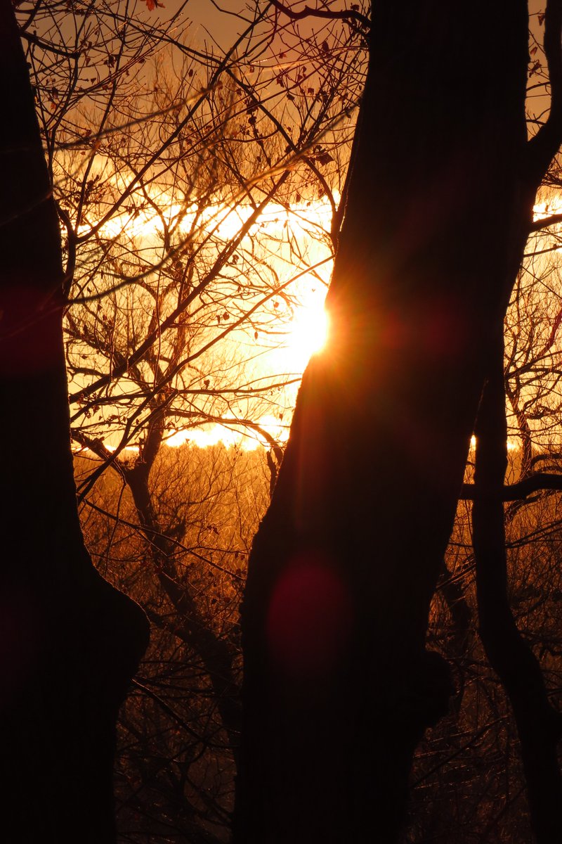 mobymaybe's tweet photo. the sun also rises β¨
Wishing you hope in the pursuit of joy ππ
"Frida, it is true. The sun also rises. Even when we cry, even when we wake screaming in the night. I found the pirate's treasure lodged between the trunks of two trees. ~ Augusta"
#psmoby https://t.co/IBpcnBlLZF