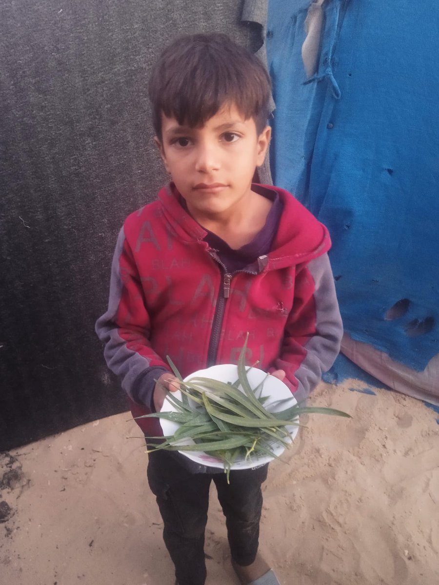 milkkirie's tweet photo. "DONT SCROLLING PLEASE , I BEG U

Can you imagine trying to swallow leaves, how hard that would be?! Please donate what you can to help us buy flour, even if it is a few grams of it 🥹💔

HELP ME GET FOOD"
https://t.co/O0j6Ehbr6B https://t.co/3UzOpVEq0Q
