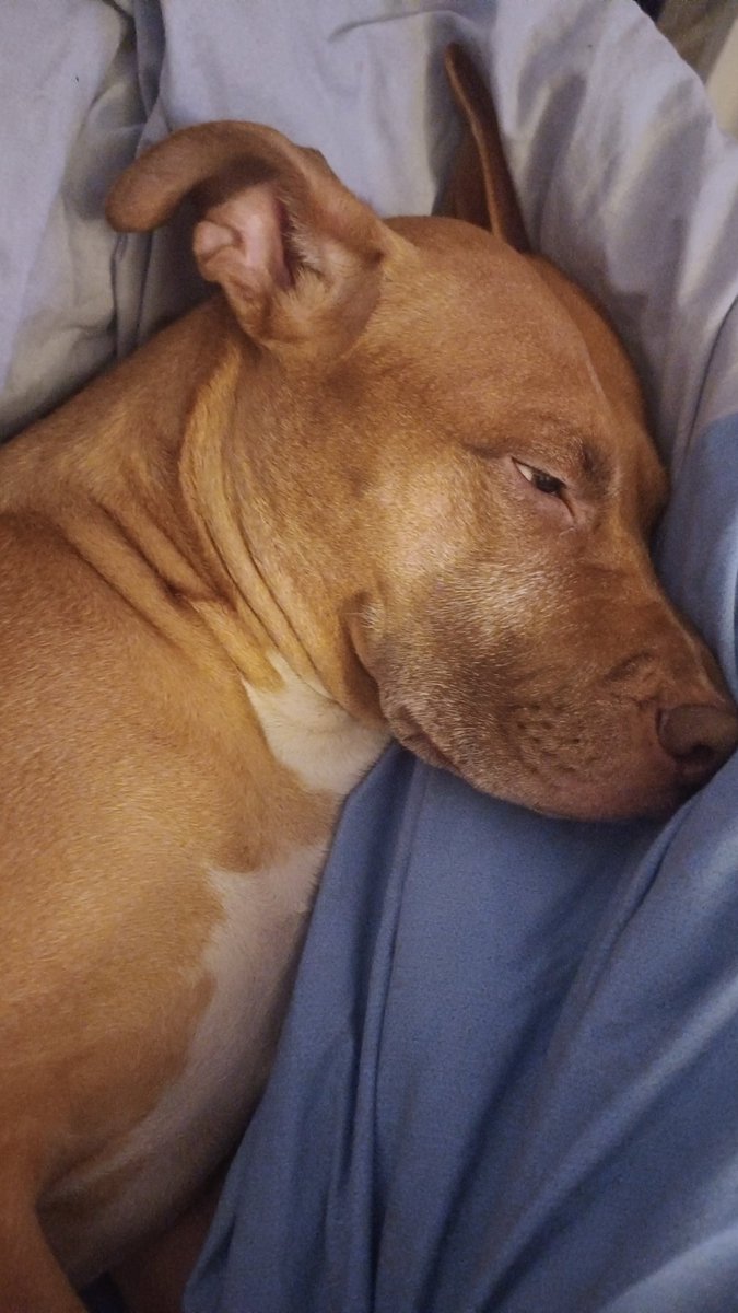 Markets boring, wake me up wen up only again $WOOF