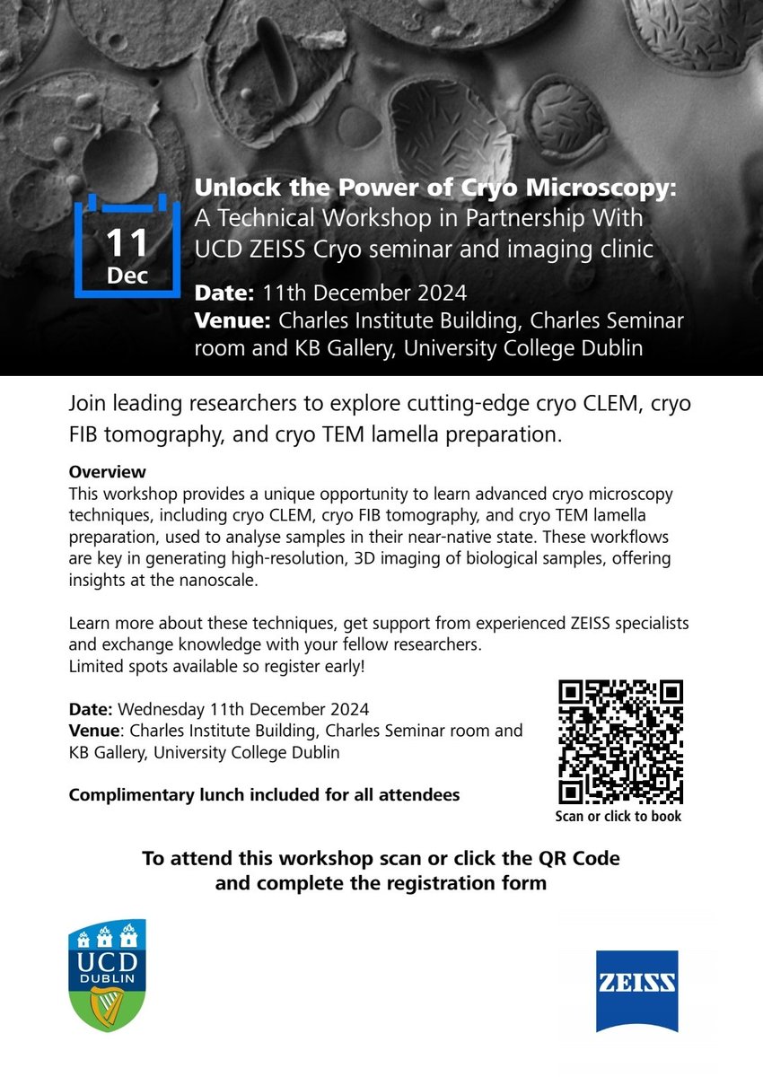 Tiina O'Neill tweet media