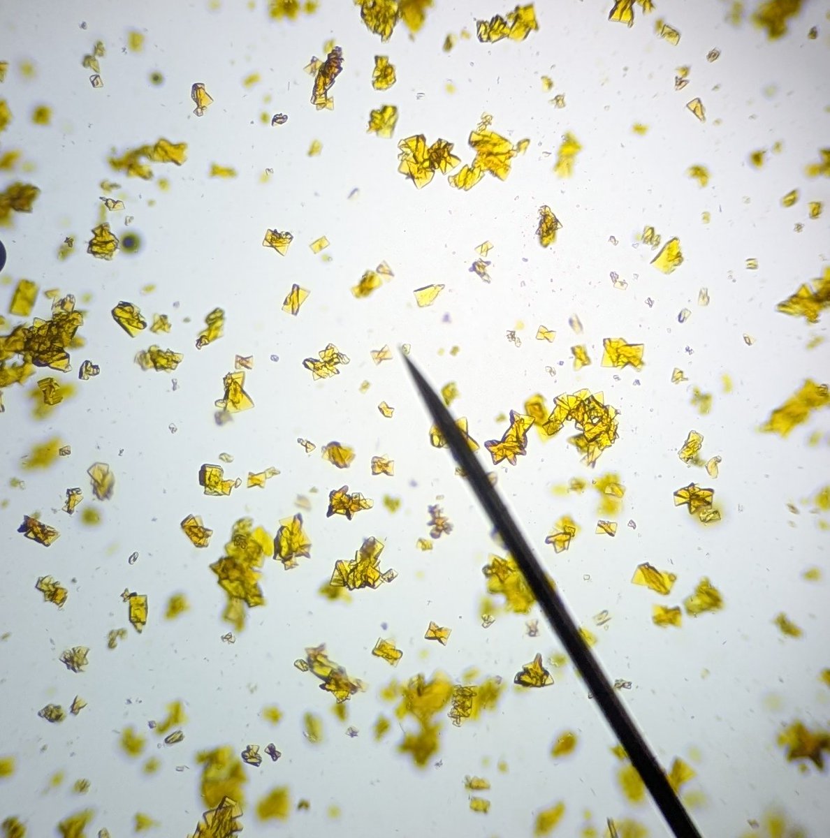 These have to be some of the most twinned crystals I have ever seen 😭