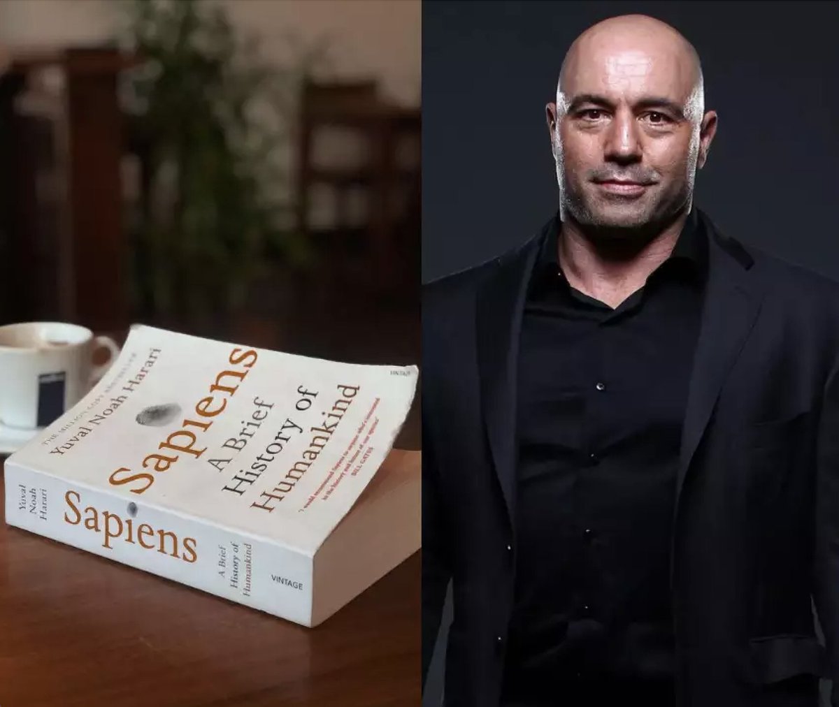 10 books recommended by Joe Rogan:

10. "Sapiens: A Brief History of Humankind" By Yuval Noah Harari
