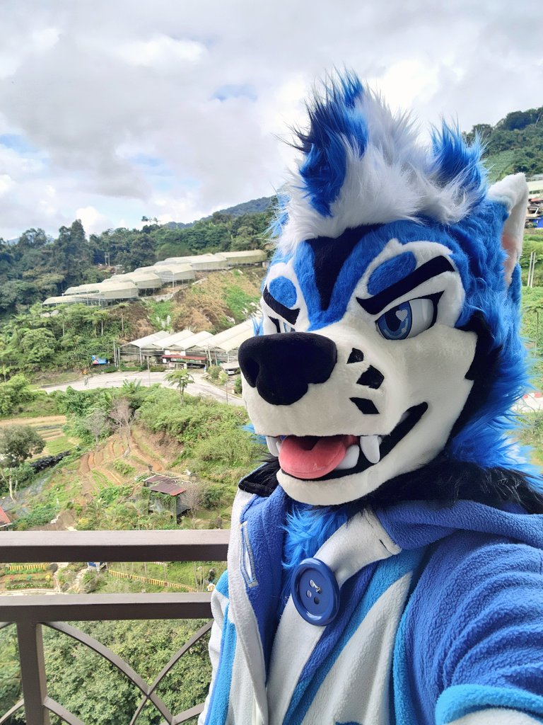 Hello Malaysiaaaa! 🇲🇾

Who am i going to see at #Furum2024? 🙂‍↔️