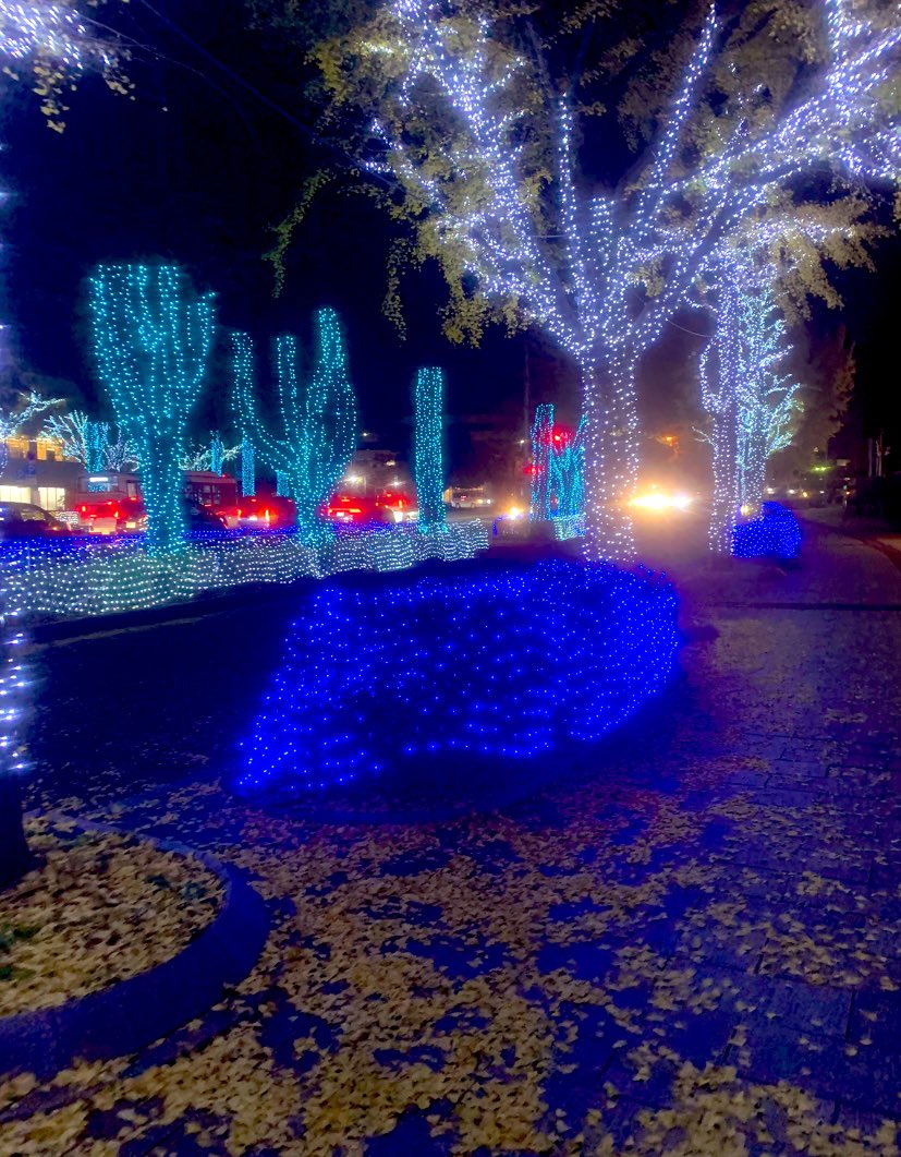 yk20031028's tweet photo. 🎄 https://t.co/iqYz4fG8eO
