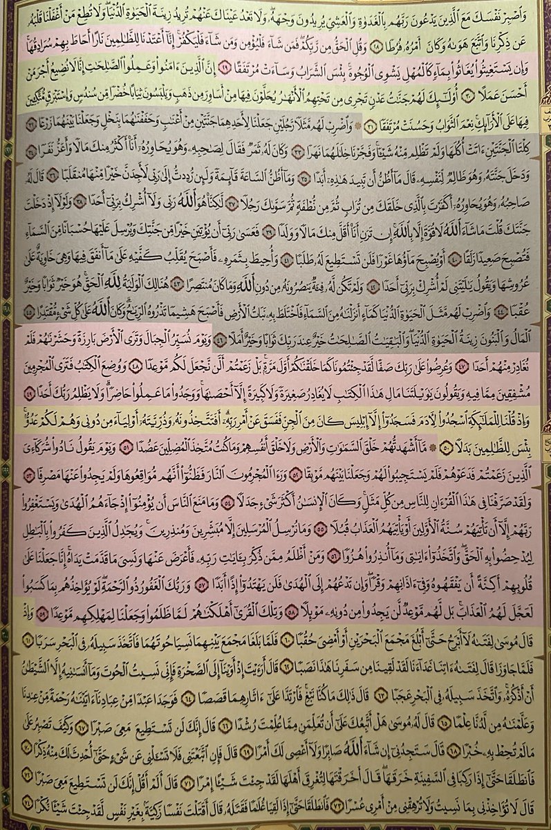 رَنو tweet media