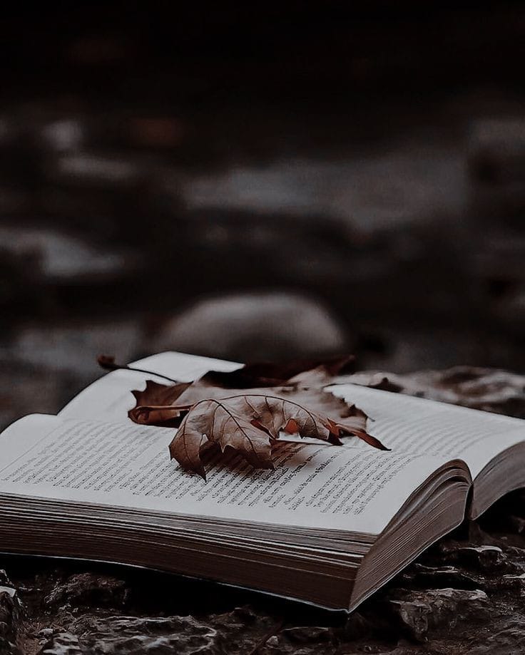 *لوگوں کی نظروں میں خود کو اعلیٰ ثابت کرنے کی چاہت، لوگوں میں نام بنانے کی چاہ یہ سب اپنے دلوں سے نکال دیں کیونکہ یہ چاہ ہی اکثر سارے اعمال کو کھا جاتی ہے* 🍁

 `اپنا مقام الله کے ہاں بنانے پر فوکس رکھیں`🤍