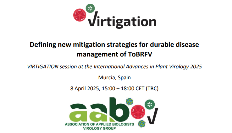 ❗️Save the date: On the 8th of April 2025, #VIRTIGATION will host a session on effective strategies for durable #TOBRFV mitigation at the #IAPV25 conference in #Murcia 🇪🇸. Check out the draft schedule of the session here: bit.ly/3ZpiE8d #H2020 #EUFunded #PlantHealth