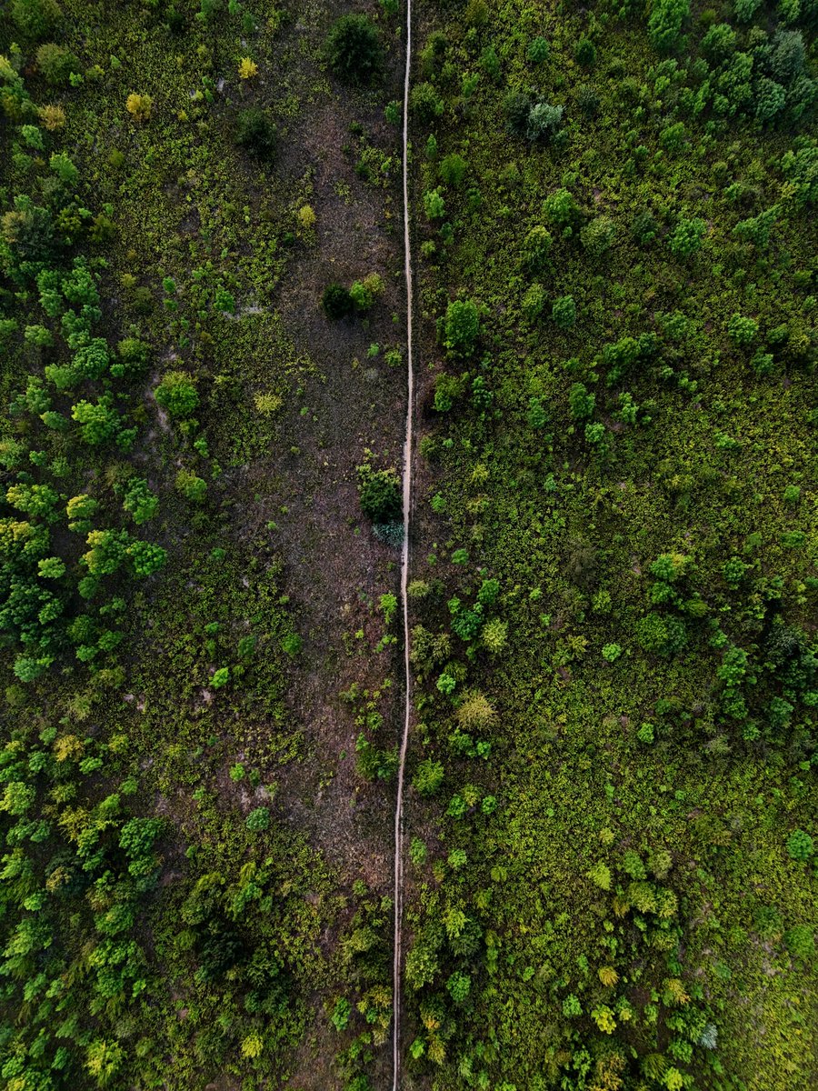 PterKrpti4's tweet photo. #dji #photography #drone #dronephotography #nature #path #wildlifephotography https://t.co/NLgYlnCfex