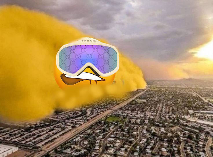 SheeshMemeCoin's tweet photo. @Crouserrr @itsafwog SHEESH 

A cultural statement on the block chain !

0x7a119133ef269175cd4daca433dac39bd119be05 https://t.co/fDMHYK3j5u