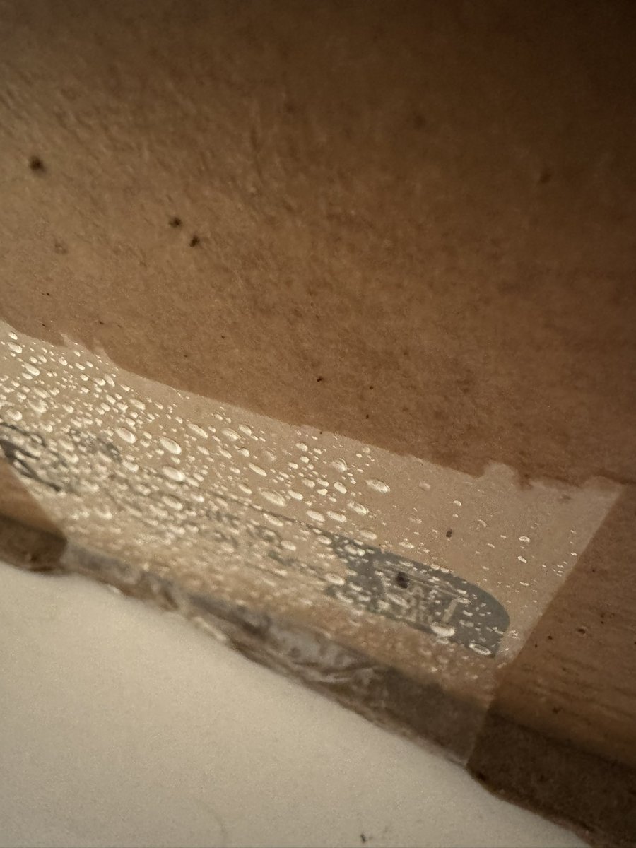 mkyfromtheBlock's tweet photo. POV: „Ihr Paket wurde einem Hausbewohner übergeben“ - @DHLPaket , 2024

Plottwist - es stand offen auf dem Grundstück, ca. 1,5m vor dem Dach des Eingangs. Es regnet hier seit heute Nacht durchgehend. https://t.co/SKyibHeYYa