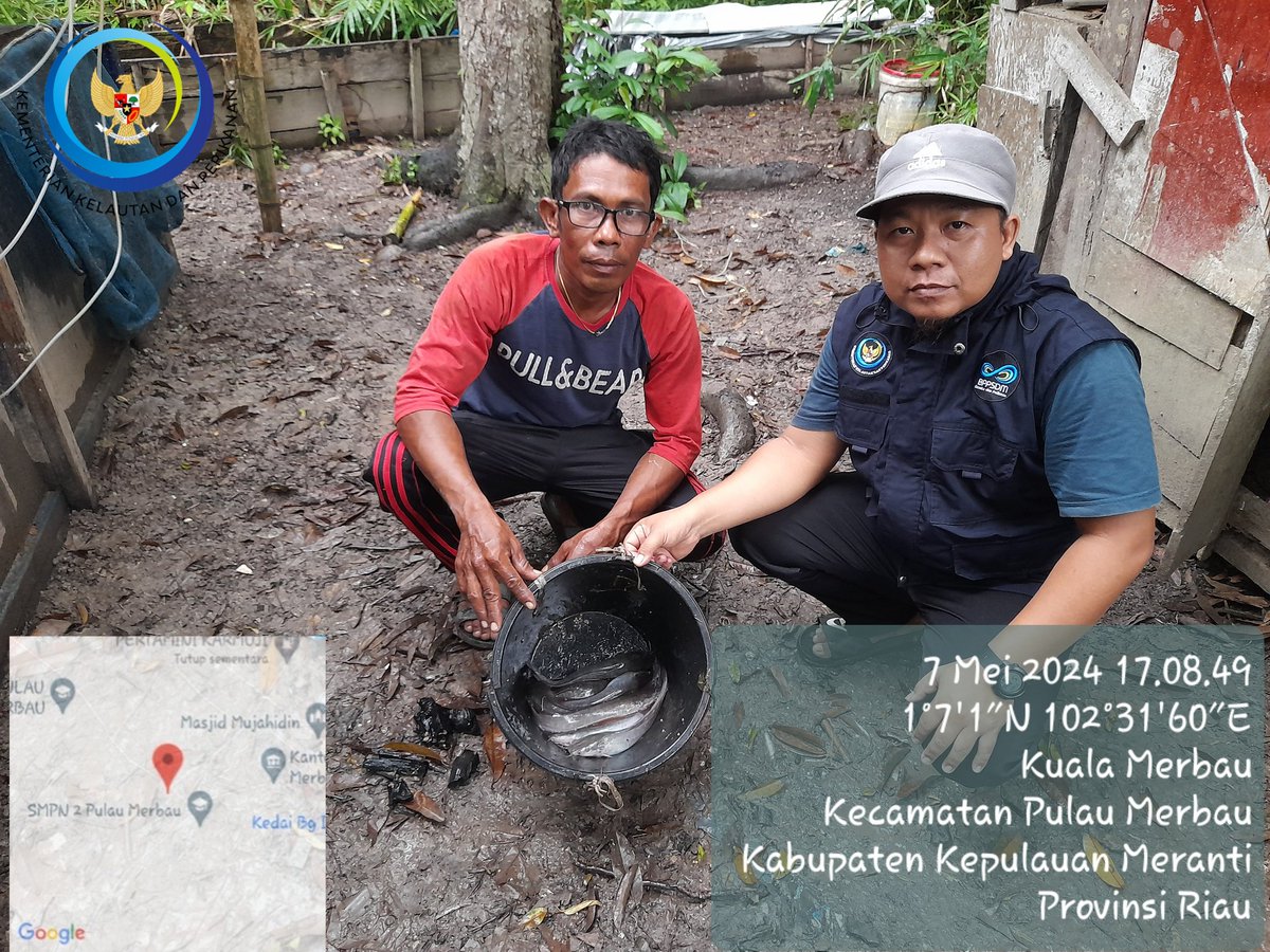 Heru Maruli tweet media