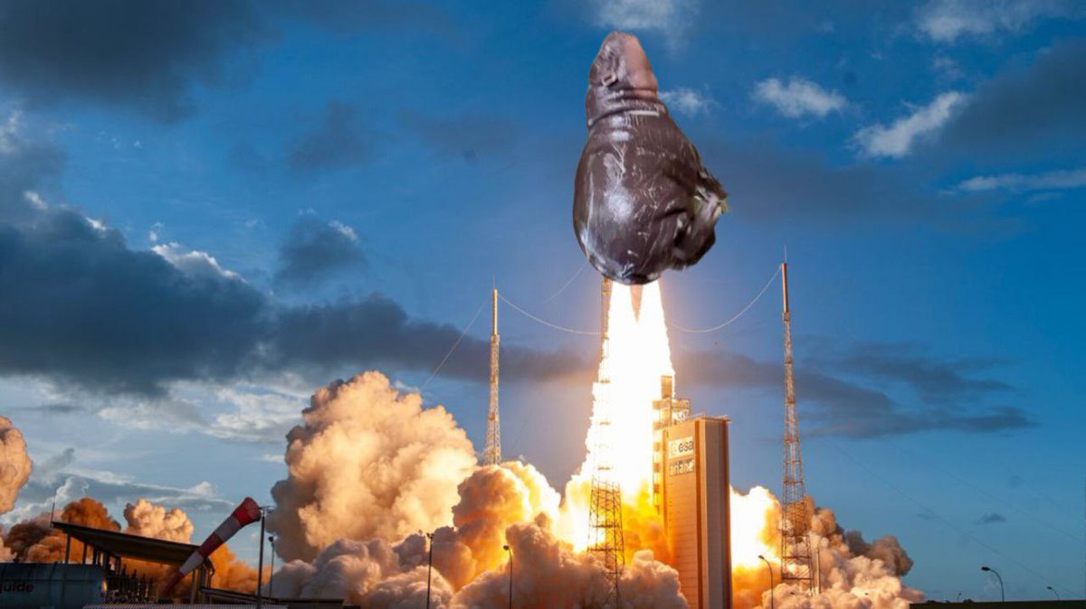 Grey BTC tweet media