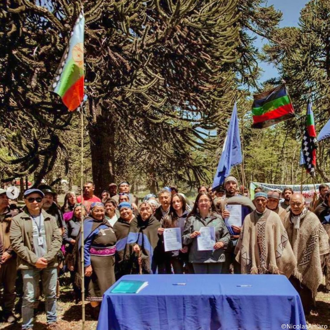 Indigenous Led Conservation tweet media