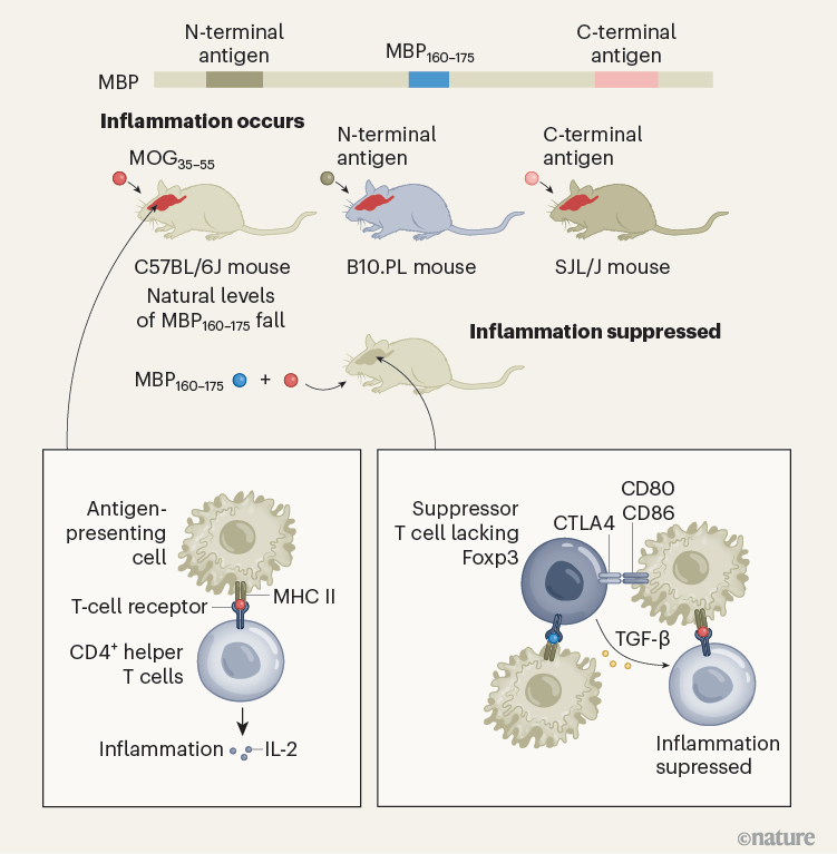 KawakamiLab tweet media