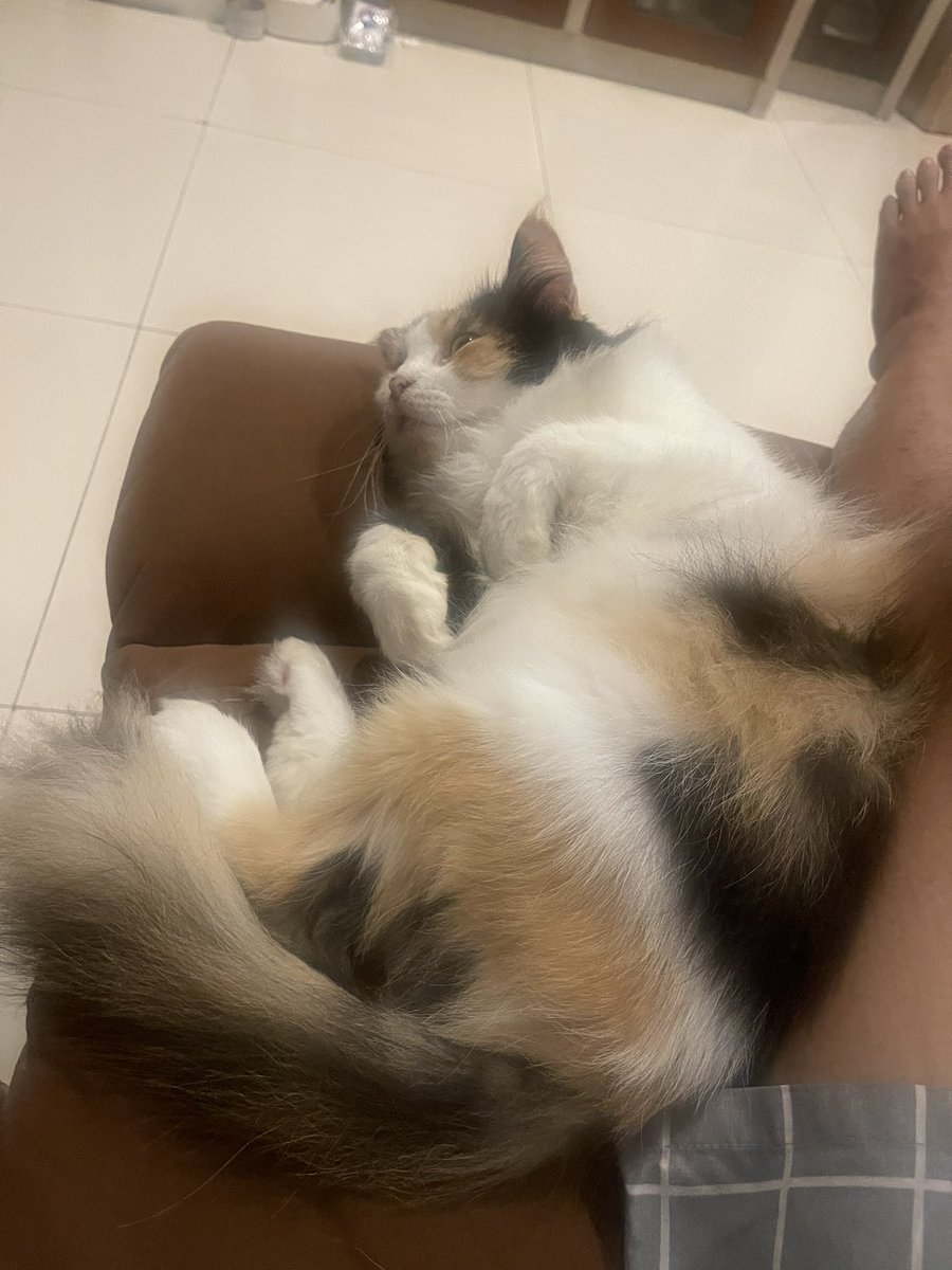 Keadilan sudah ditegakkan dan pelaku meringkuk dengan perasaan menyesal🥹😇🙏