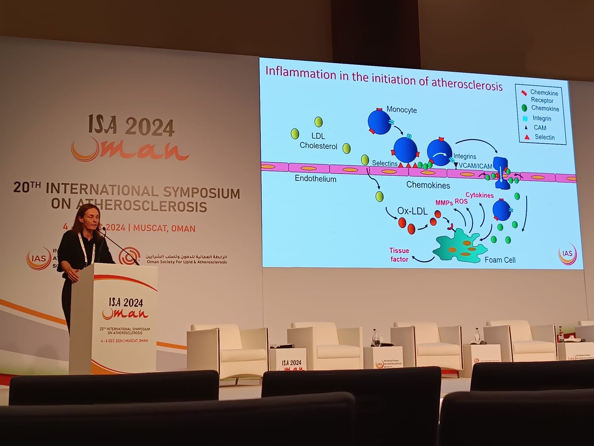 ChrisBursill (@chrisbursill) on Twitter photo Honoured to give an invited talk on the regulation of inflammation in atherosclerosis at #ISA2024 following the great Prof Peter Libby. <a href="/atheroaussie/">AAS</a> <a href="/SACVRN/">SA CVRN</a> <a href="/UniofAdelaide/">Uni of Adelaide</a> <a href="/SAHMRI_Heart/">SAHMRI Heart</a> Honoured to give an invited talk on the regulation of inflammation in atherosclerosis at #ISA2024 following the great Prof Peter Libby. <a href="/atheroaussie/">AAS</a> <a href="/SACVRN/">SA CVRN</a> <a href="/UniofAdelaide/">Uni of Adelaide</a> <a href="/SAHMRI_Heart/">SAHMRI Heart</a>