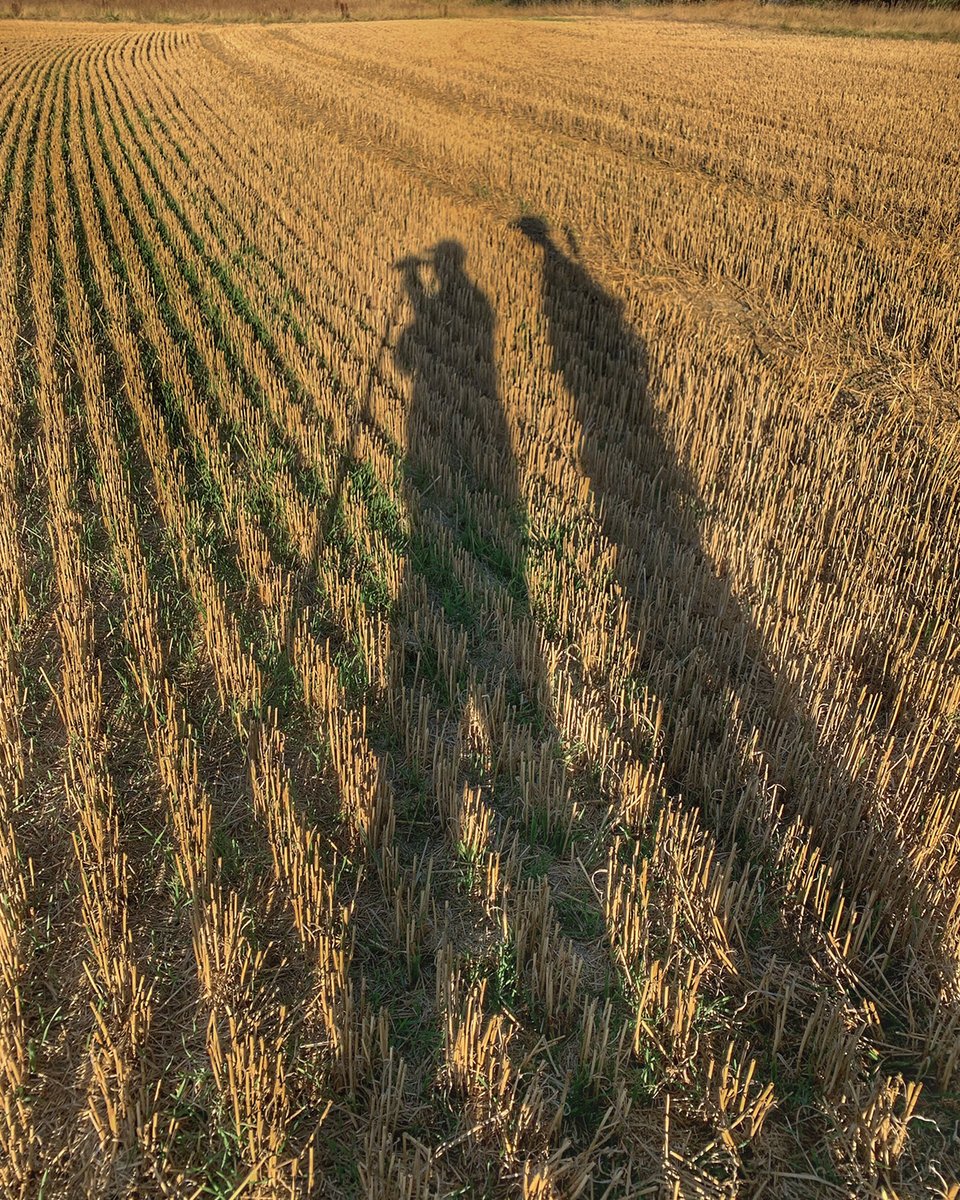 Norma Precision USA tweet media