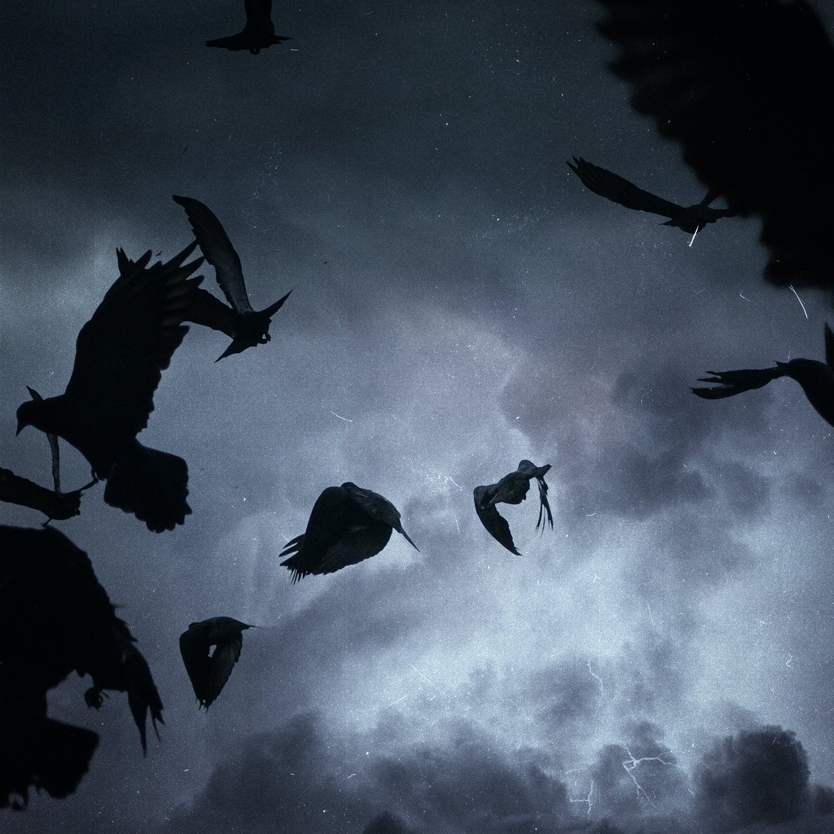 Angel Number tweet media