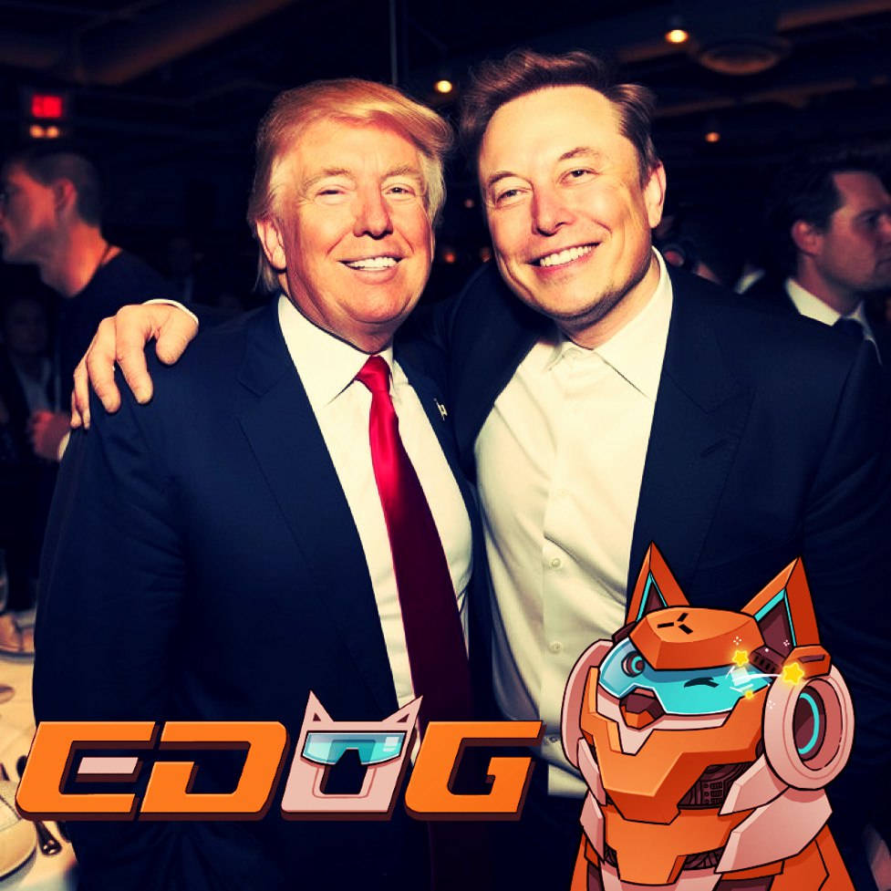 macn cat tweet media