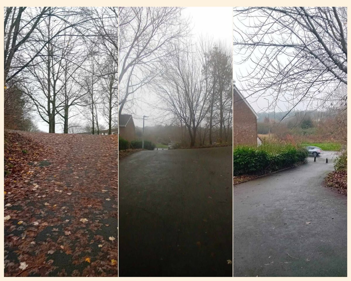 This week Oakengates Community Action Team has been hard at work clearing leaves, detritus, and litter from around our neighborhood. Their environmental efforts are keeping our streets and public spaces safe, clean and welcoming for everyone.