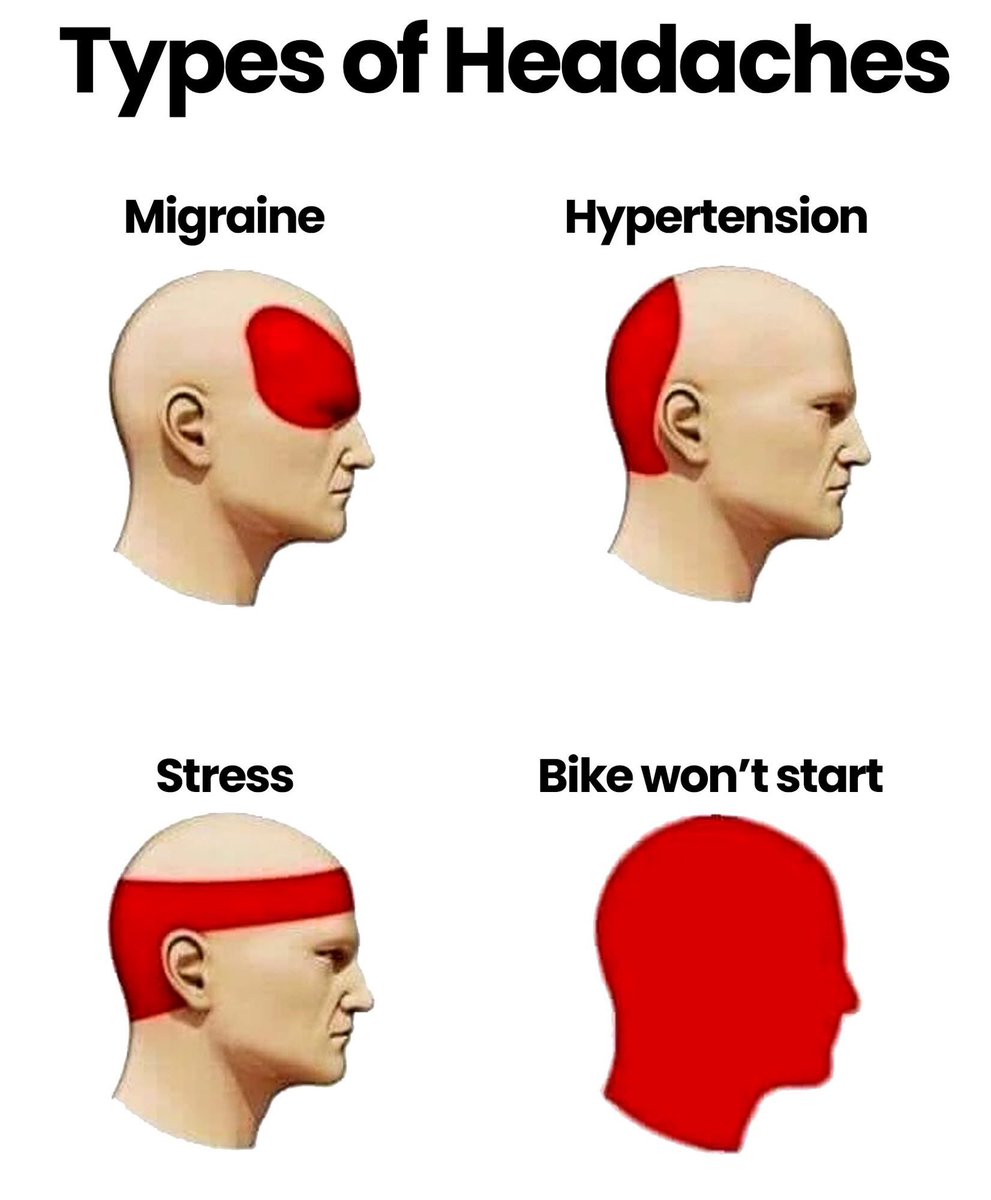 brygsi's tweet photo. One hundred percent….
🏍️💯🏍️💯🏍️💯🏍️ https://t.co/neUcXNhl9c