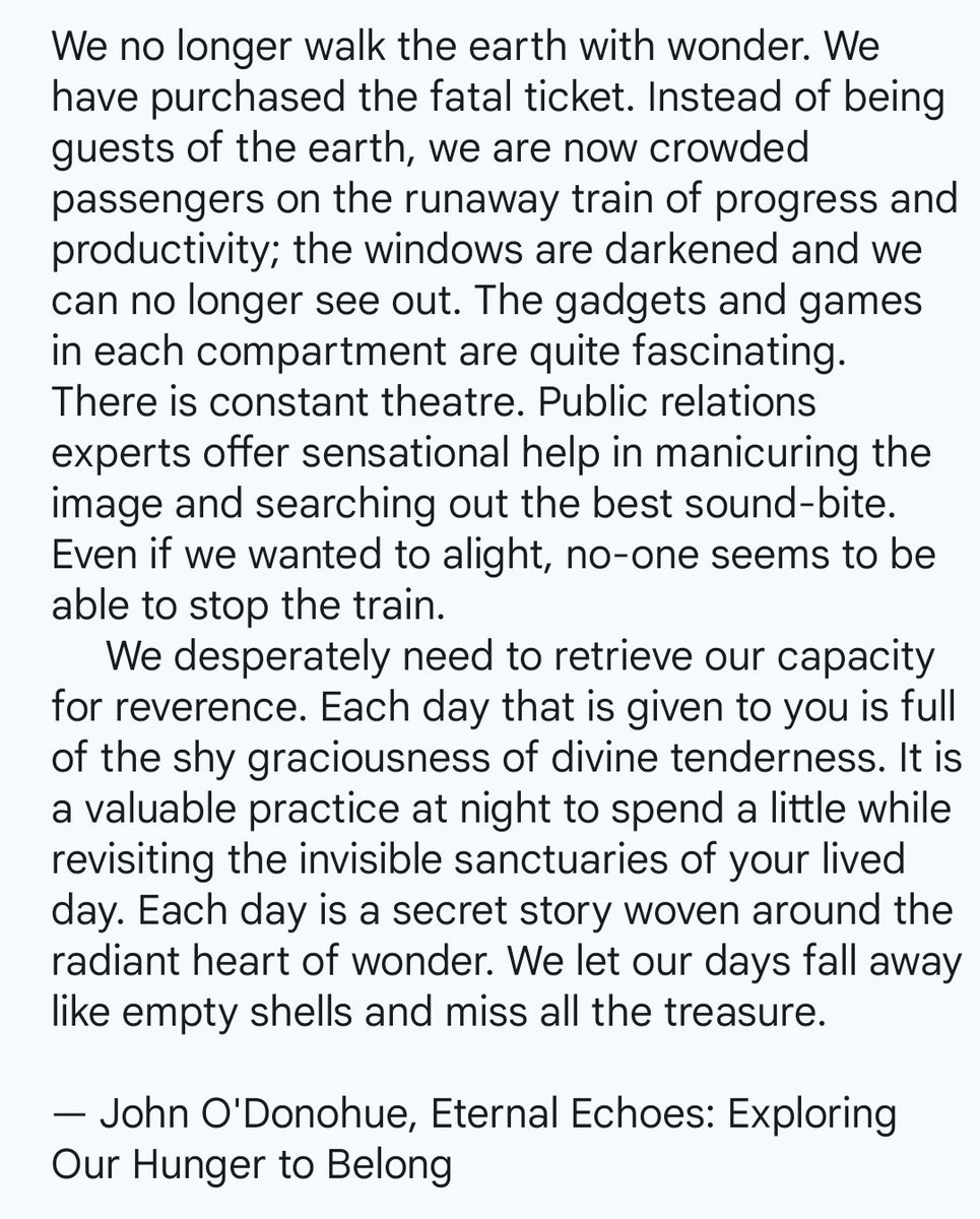 TheaEuryphaessa's tweet image. John O'Donohue on reverence.

What a passage.