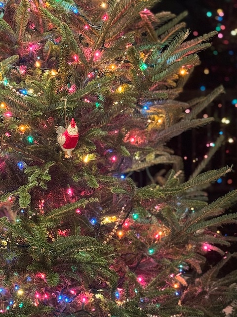 Some Friday fun...

After lots of travel recently, here's the first fire of the season...it's warmth is more than welcome recently, even in Florida! And for another first, the first ornament on the tree. We hope your holiday season is kicking off to a joyous start!