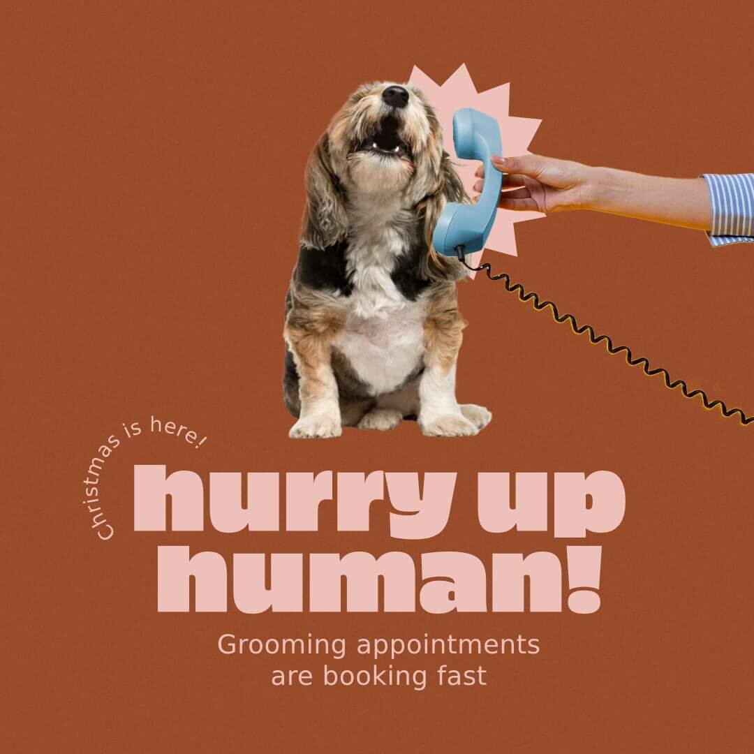 We are filling up quickly for the week before Christmas! The 23rd is currently full, and we will be closed Christmas Eve and Christmas Day so please plan accordingly.