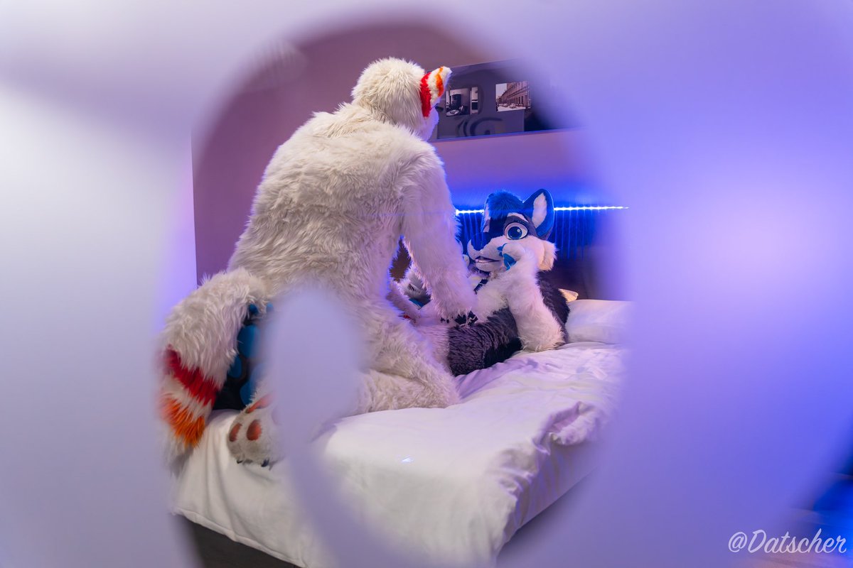 POV: You’re peering through the glass and watch how a big bad wolf pins his prey down &gt;:3

🐺= <a href="/VolskarWolf/">Volskar 🔜 Pawska 🇵🇱</a> &amp; <a href="/amju_wolf/">🌈 Amju Wolf 🐾 🐺</a> 
📸 = <a href="/Datscher02/">Datscher</a> 

At <a href="/SloFluffCon/">SFC | Slofluffcon</a> 2024 🇸🇮

#FursuitFriday #SFC2024 #SloFluffCon