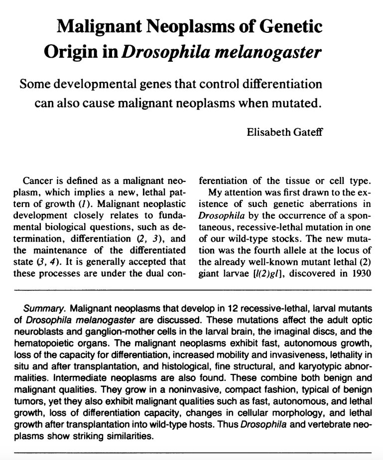 Max Stammnitz @maxstammnitz.bsky.social tweet media