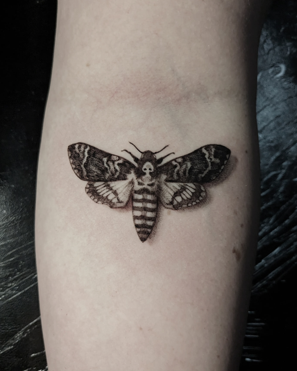 ISaTa2_'s tweet photo. BOOKING OPEN...

...for the month of February.
DM or email for reservations and questions.

#tattoo #tattoodesign #tattoos #columbus #cleveland #ohio #columbusohio #booking #consultation #finelinetattoo #colortattoos #dotwork #whipshaded #realistictattoo https://t.co/aIF4T1DKgL