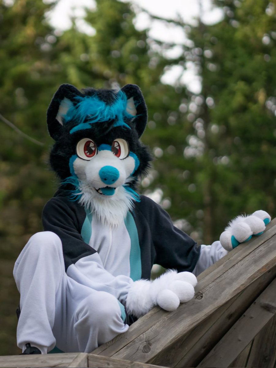 Rapid (@rapidthehusky) on Twitter photo What do we have here? I think it's... #FursuitFriday ๐
๐ธ <a href="/AtroxTheFox/">AtroxTheFox</a>
#furry #fursuit What do we have here? I think it's... #FursuitFriday ๐
๐ธ <a href="/AtroxTheFox/">AtroxTheFox</a>
#furry #fursuit