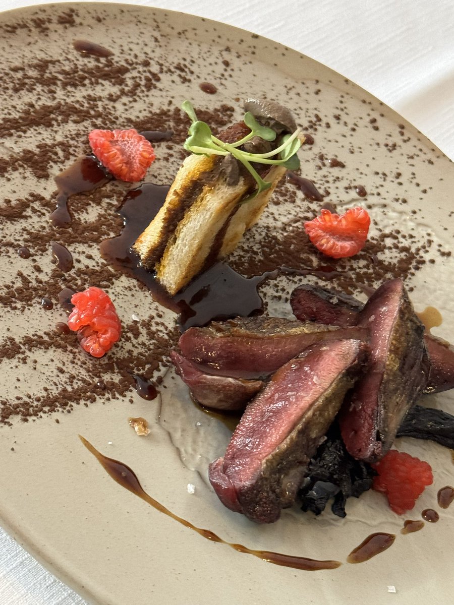 Esta paloma torcaz era de otro planeta <a href="/TreZerestaurant/">TrezeRestaurante&Bar</a>