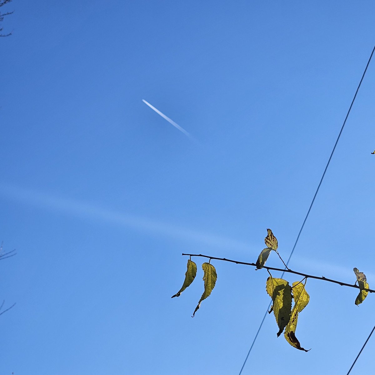 beaviag2020's tweet image. testimonials are important #truthseekers 
#Stopthecrime.net for all is the humane vs the inhumane wars since ancient times now more bold than ever these subterrans keepers...
the sprays continues or exposed?
Central region today and almost everyday?  just started 7 :30am
#2know