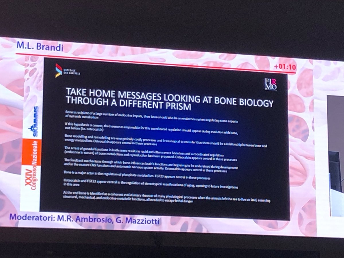 IFMRSGlobal's tweet image. Maria Luisa Brandi @ #siommms2024 - bone produces hormones too. #FGF23 

Phosphate levels also essential

@siommms