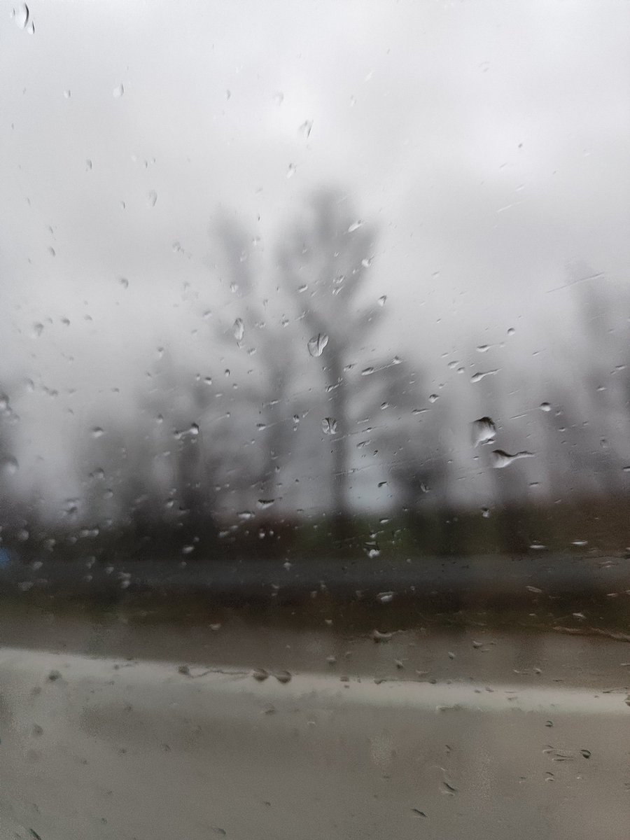 Monika Vollmer tweet media