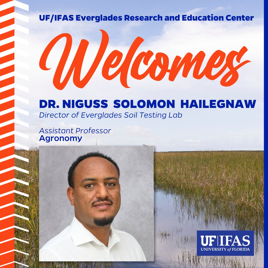 UF IFAS Everglades REC - Belle Glade tweet media