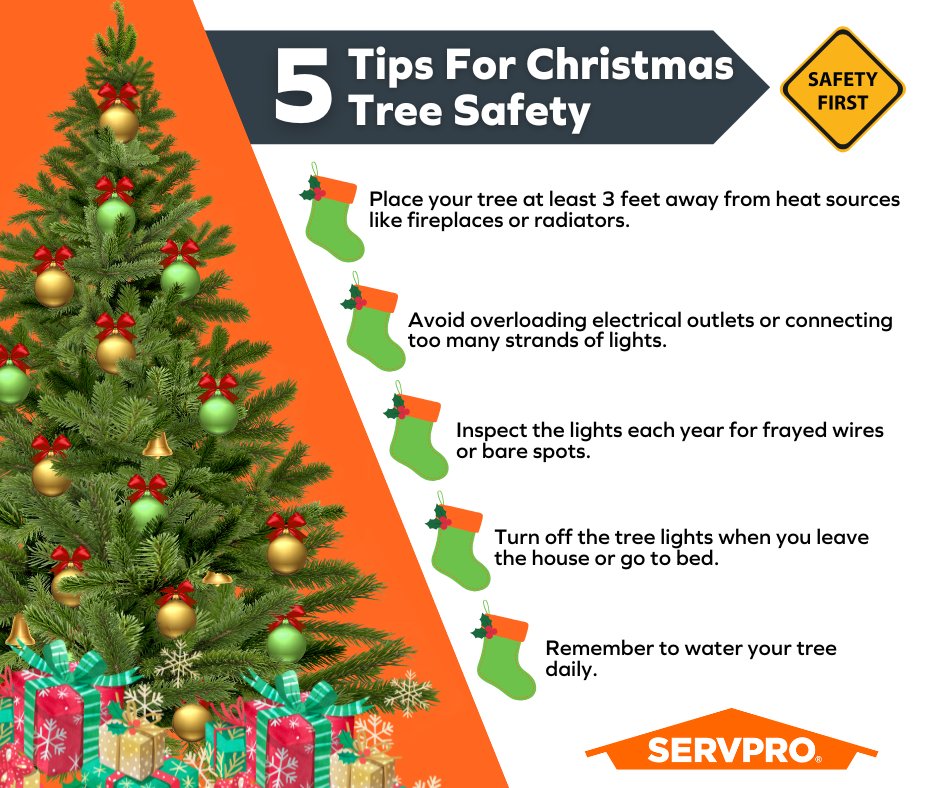 ✨ Stay Safe Around the Tree! ✨
The holidays are magical, but safety is key. Follow these Christmas tree tips to enjoy a happy, worry-free season. Remember, SERVPRO is here for you when you need us!
#ChristmasTreeSafety #HolidayTips #SERVPROCares