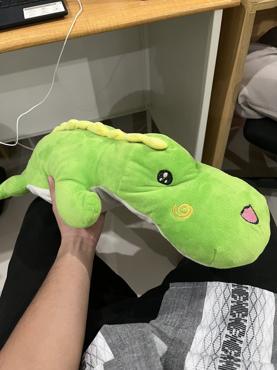 🐊