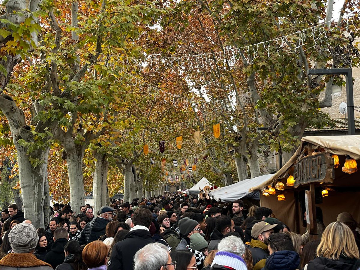 Albert Castells Vilalta tweet media