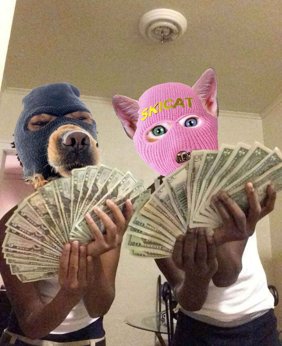 skimaskcatx's tweet photo. Ski Dog on Base
Ski Cat for Ethereum 💹🥂
$SkiCat https://t.co/vwJ4O20V87