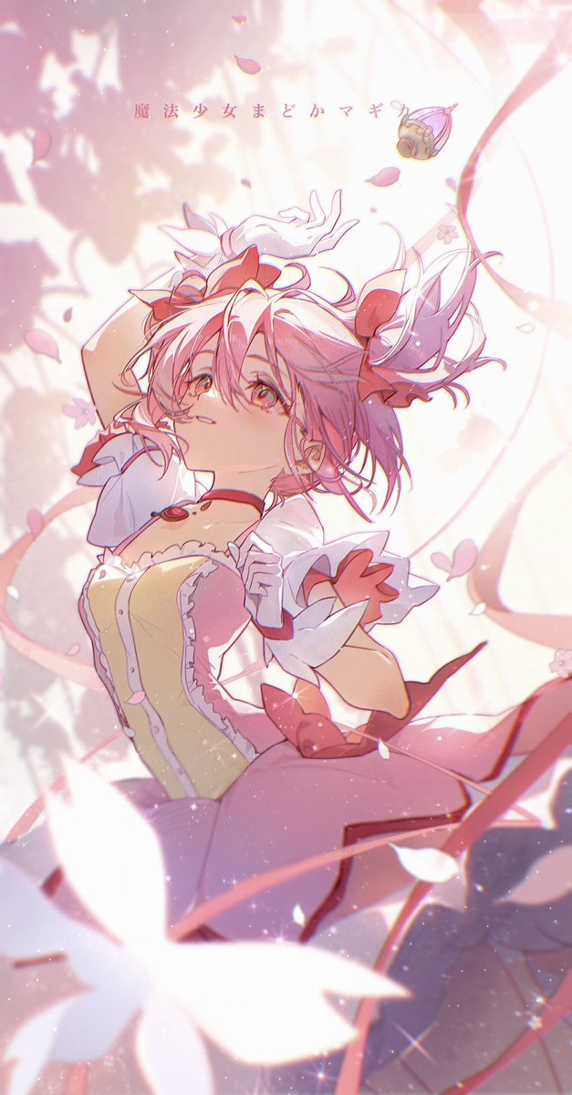 飞机云君 tweet media