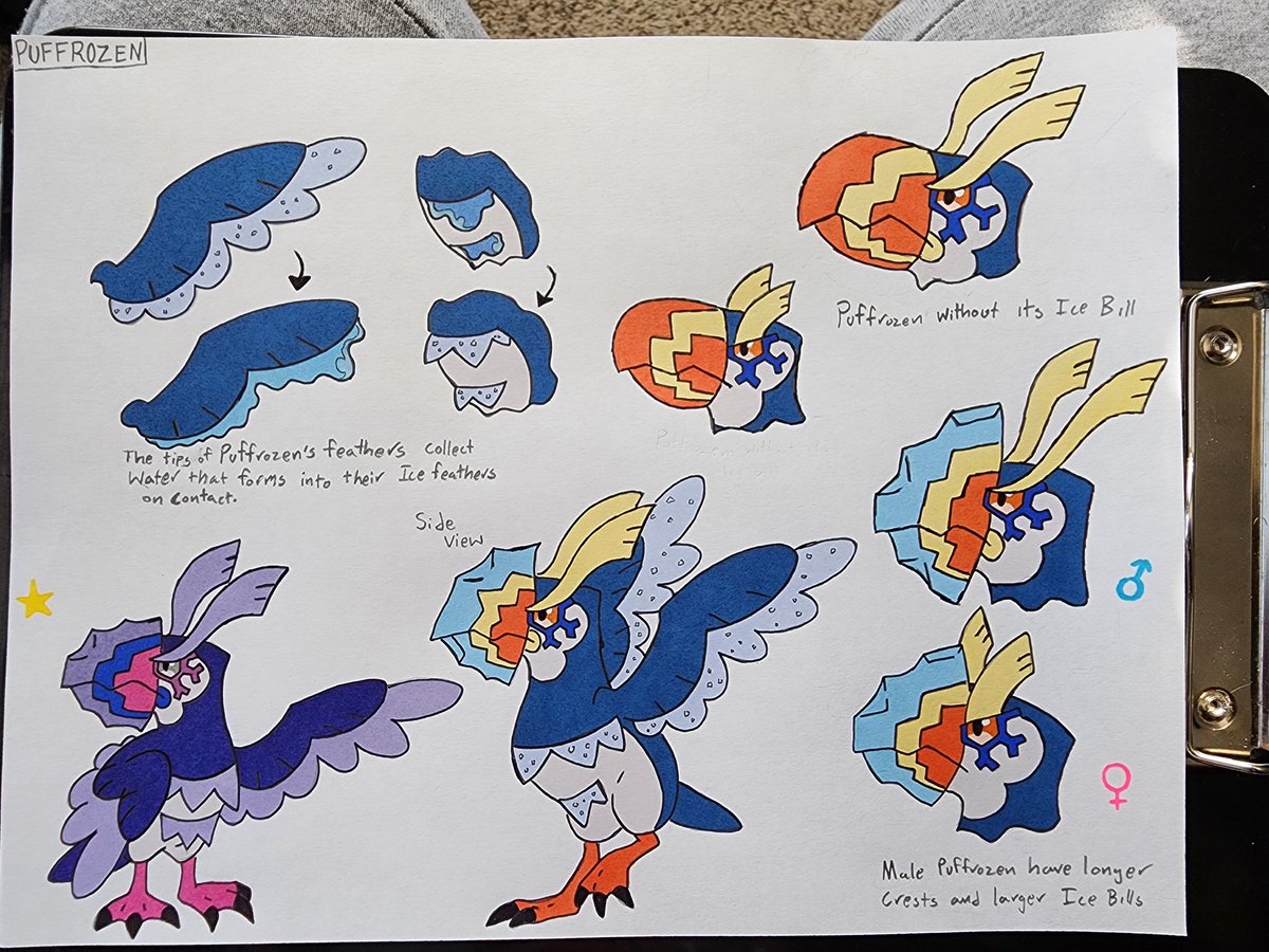 FalcoSean's tweet photo. For the first #FakemonFriday of Winter 2024, we are going back to Korinata for its Regional Bird. Meet Aukua and Puffrozen, I hope you like them
#Pokemon #PokemonArt #Fakemon #FakemonArt #FlyingTypePokemon #WaterTypePokemon #IceTypePokemon https://t.co/idZOtOdssl