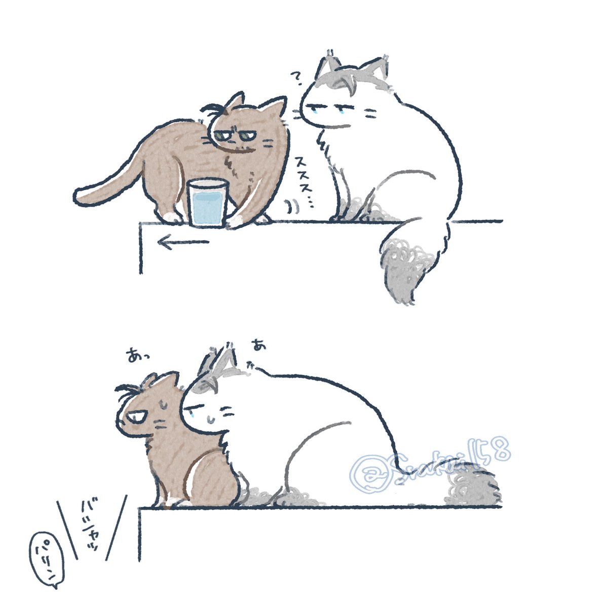 いたずらニャビンちゃん。
ギリギリを攻めるつもりだったらしい