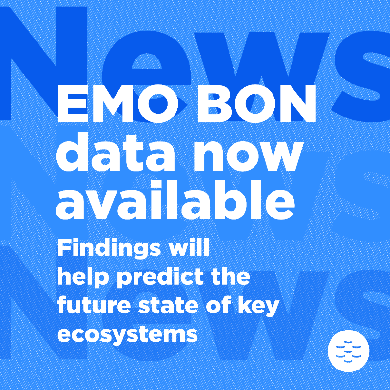 EMBRC_EU's tweet photo. 📢 EMBRC’s #EMOBON observatory has published its 1st data 📢
 
Analysis of these #BiodiversityData can help to:
➡️ Understand ocean ecosystems
➡️ Inform science-based policy
➡️ Tackle pressing environmental issues
➡️ Position the EU as a global sustainability leader

@OBON_Ocean