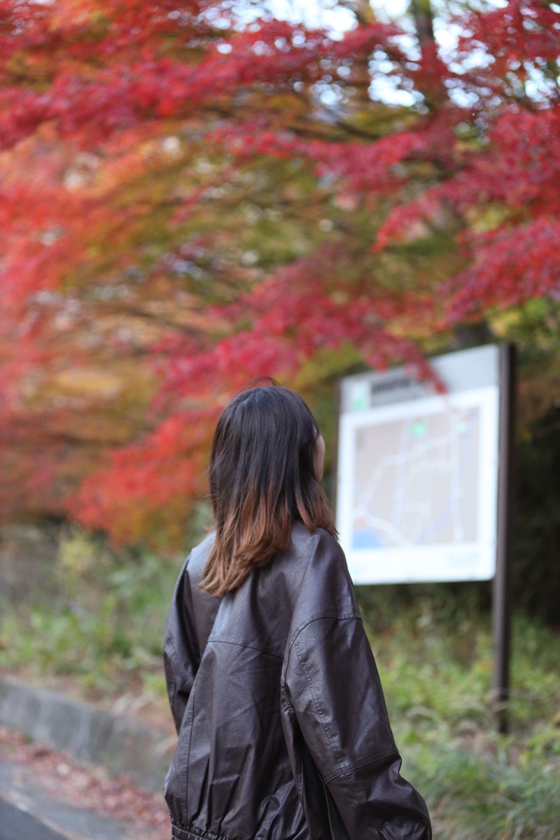 Photo_Tanuki04's tweet photo. 秋🍁🍁🍁 https://t.co/t5YJGJXVOW